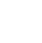 New York Water Taxi