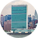 The United Nations Building 