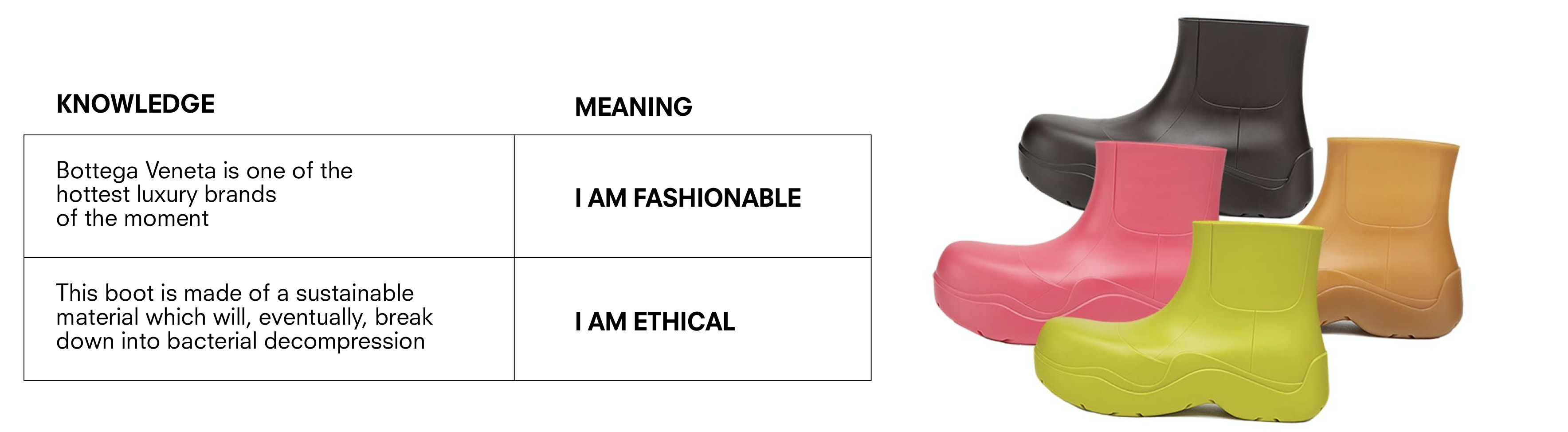Model 4 - Knowledge vs Meaning