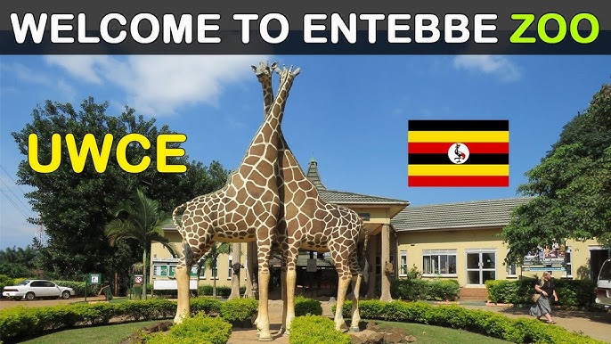 Foundation Trip to the Zoo