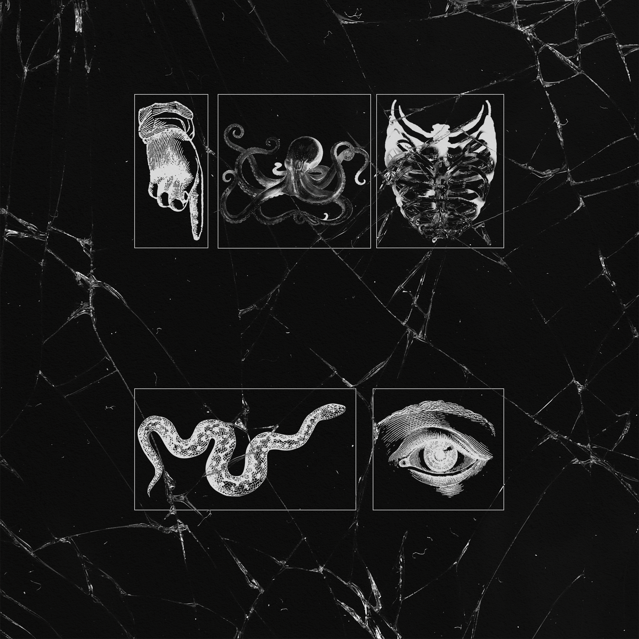 REACT with Claire Morgan