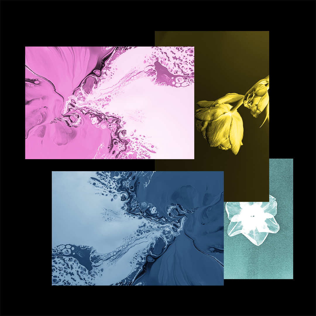 Novel Takeover - Sub Club 