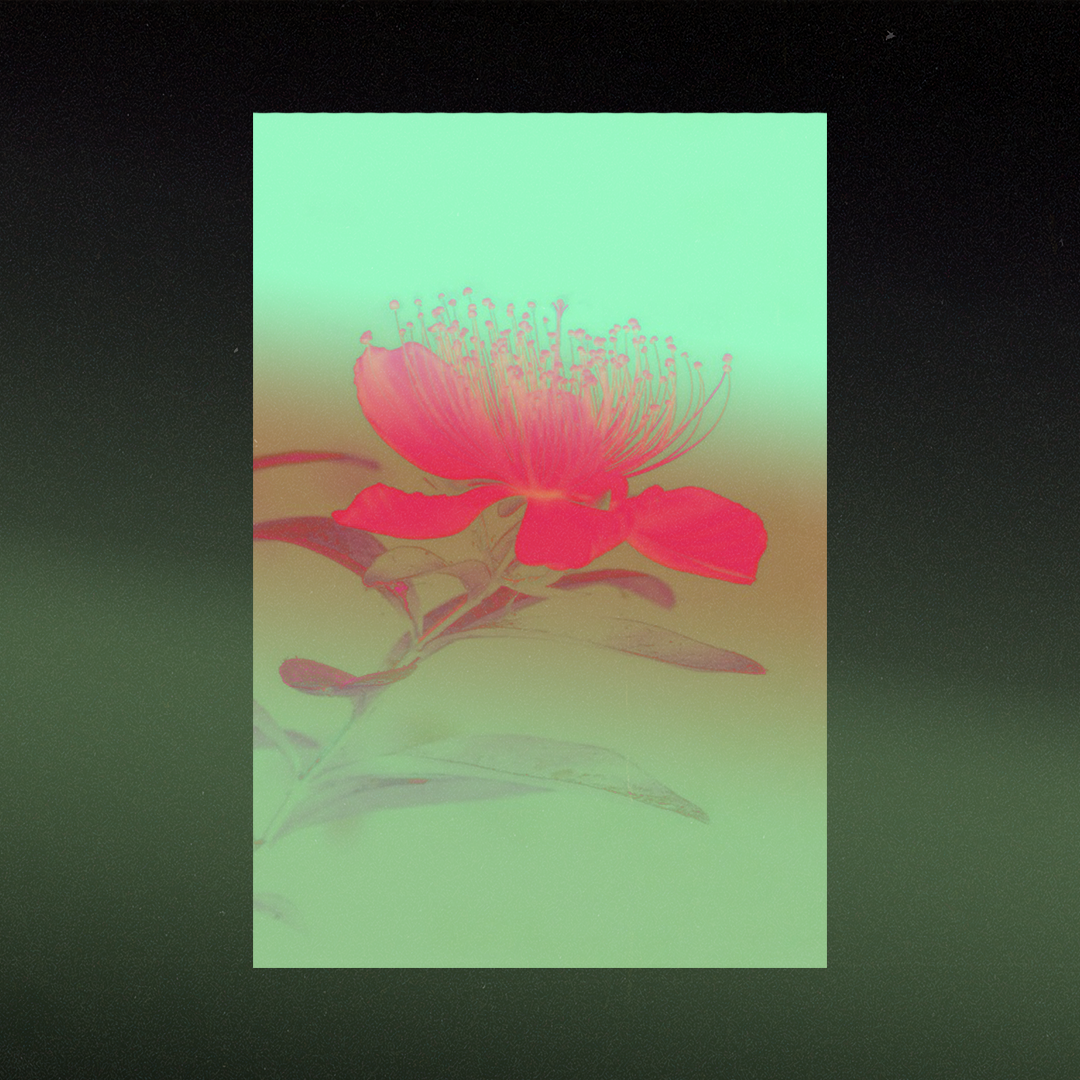 Novel x Other People - Rooftop Party