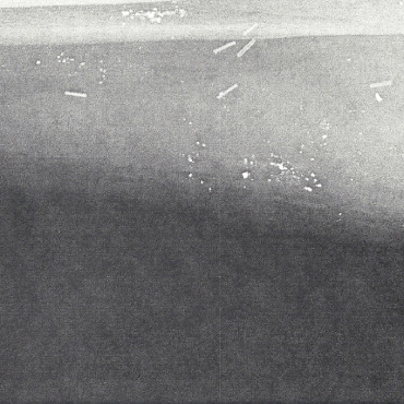 smalltown with Dense & Pika