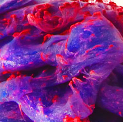 Novel presents &ME (Dekmantel Melbourne After Party)