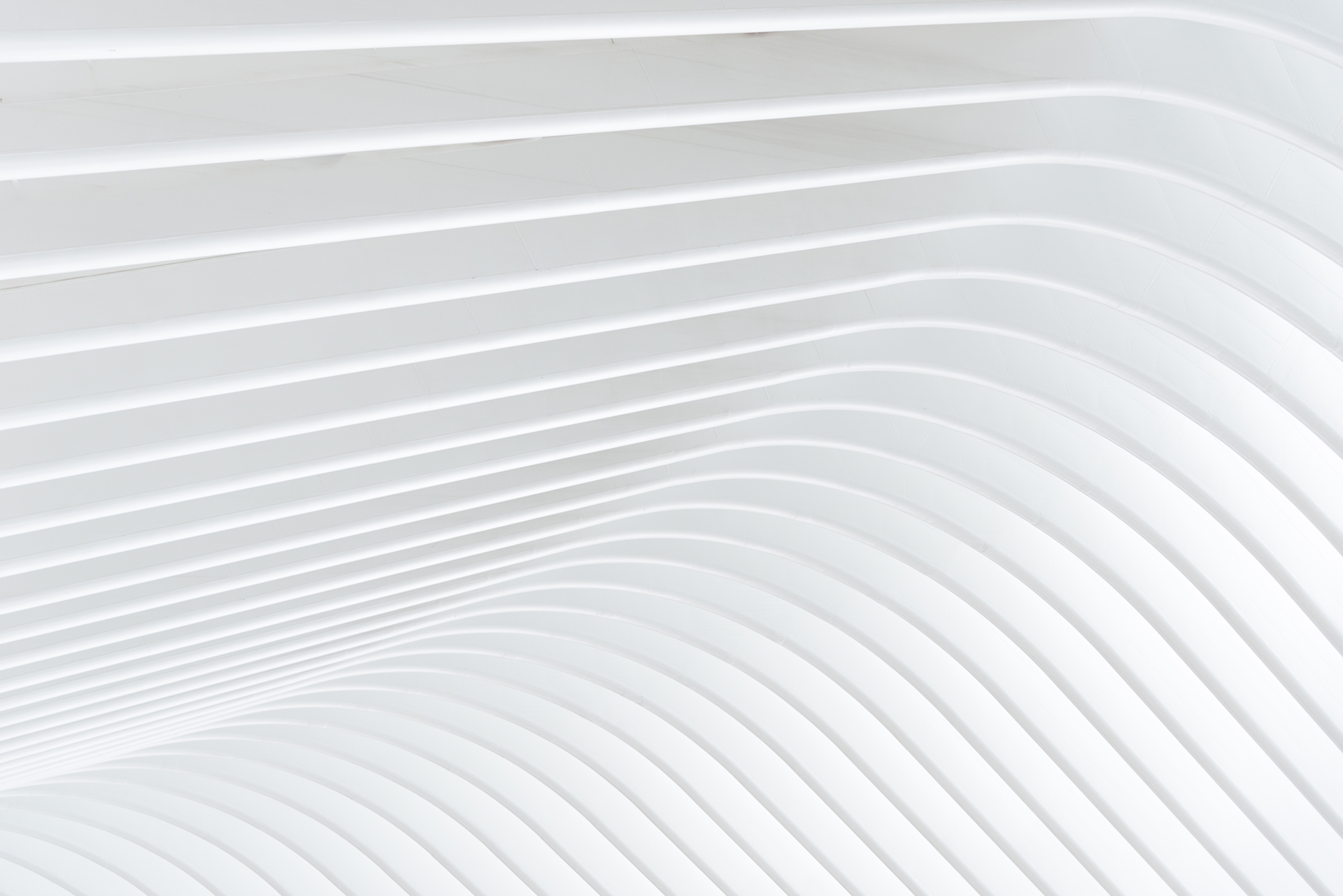 White gradient pattern.