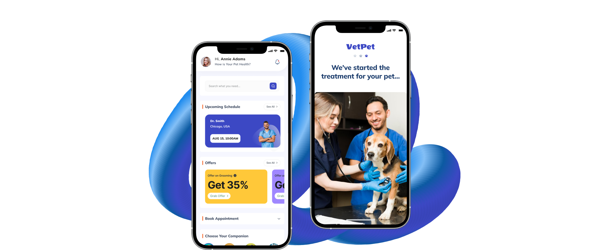 Online vet appointment scheduler design