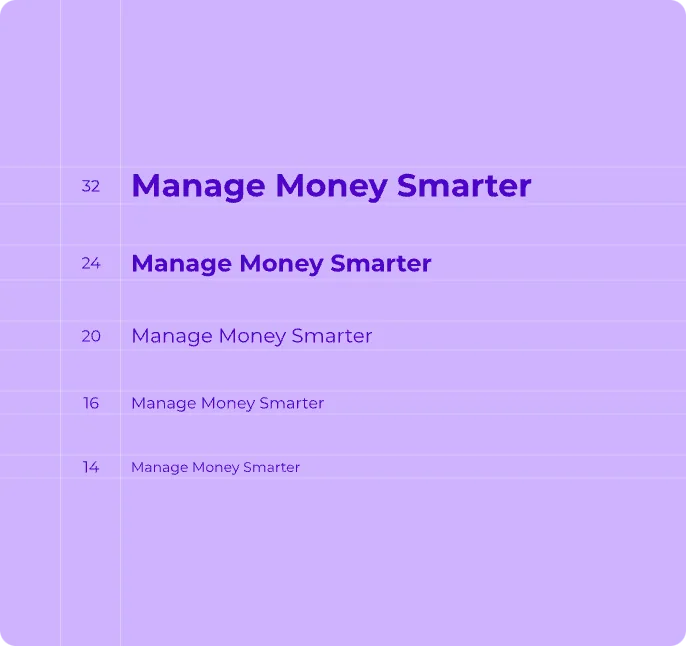 An example of using the MoneyPay typography