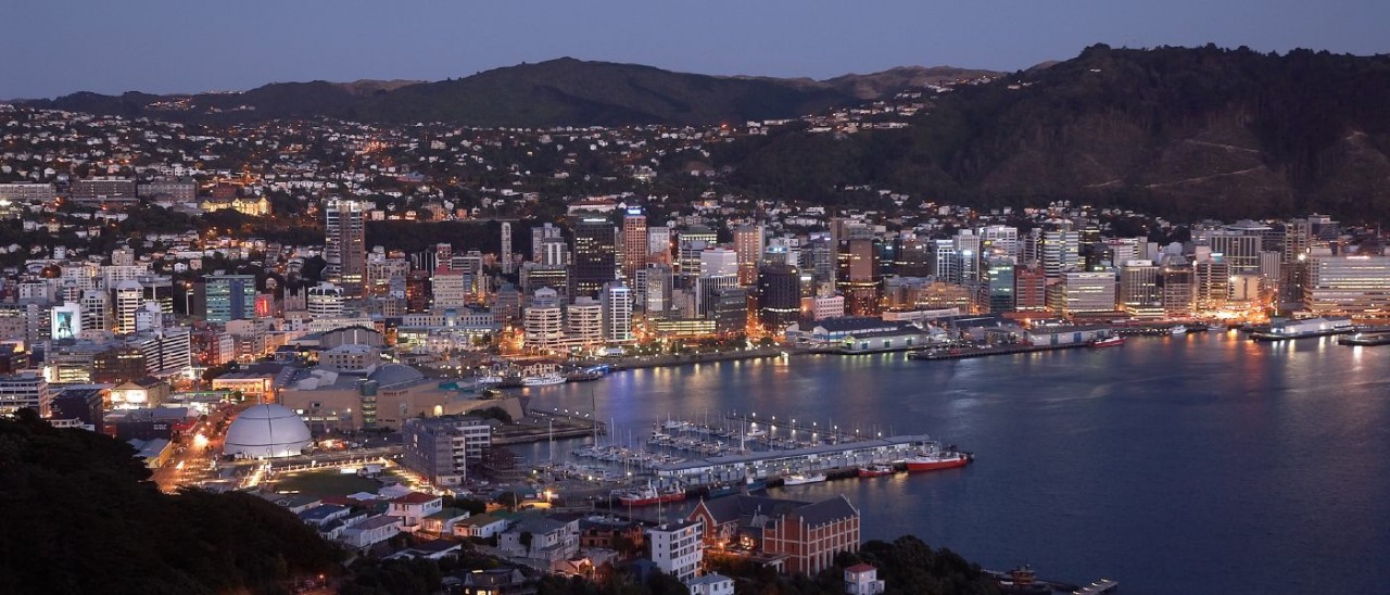 Web Design Services in Wellington - DreamX