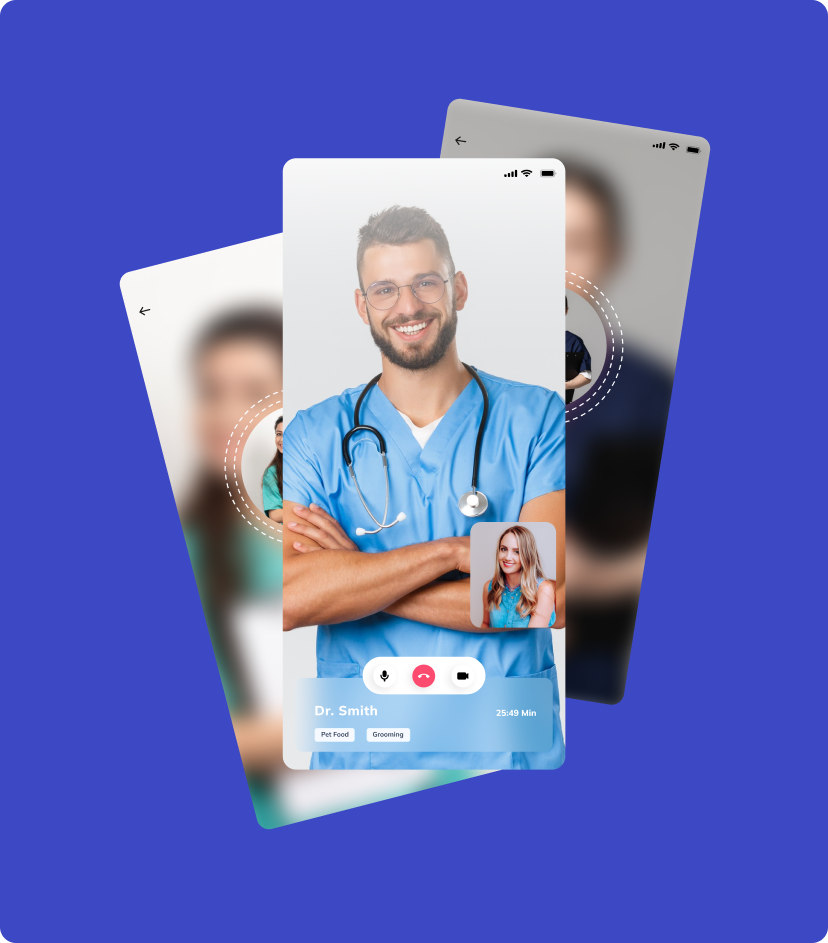 VetPet video calls feature