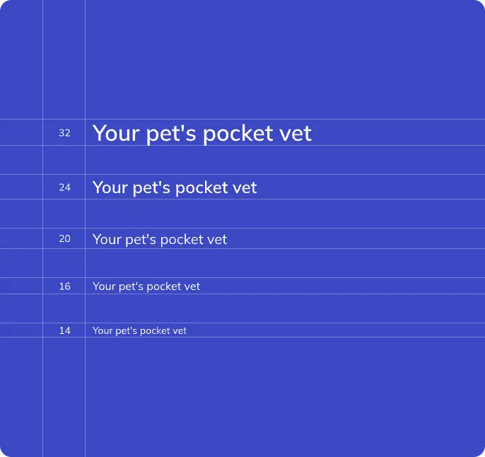An example of using the VetPet typography