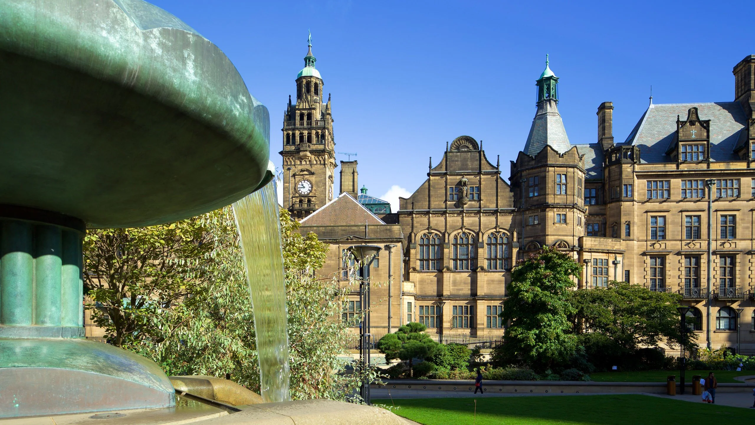 Web Design Services in Sheffield - DreamX