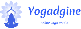 Yogadgine logo