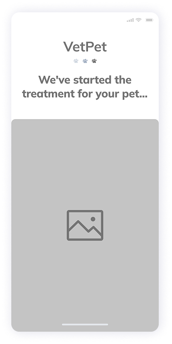 VetPet app treatment initiation screen wireframe