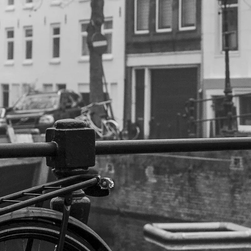 Picfair gallery image 1