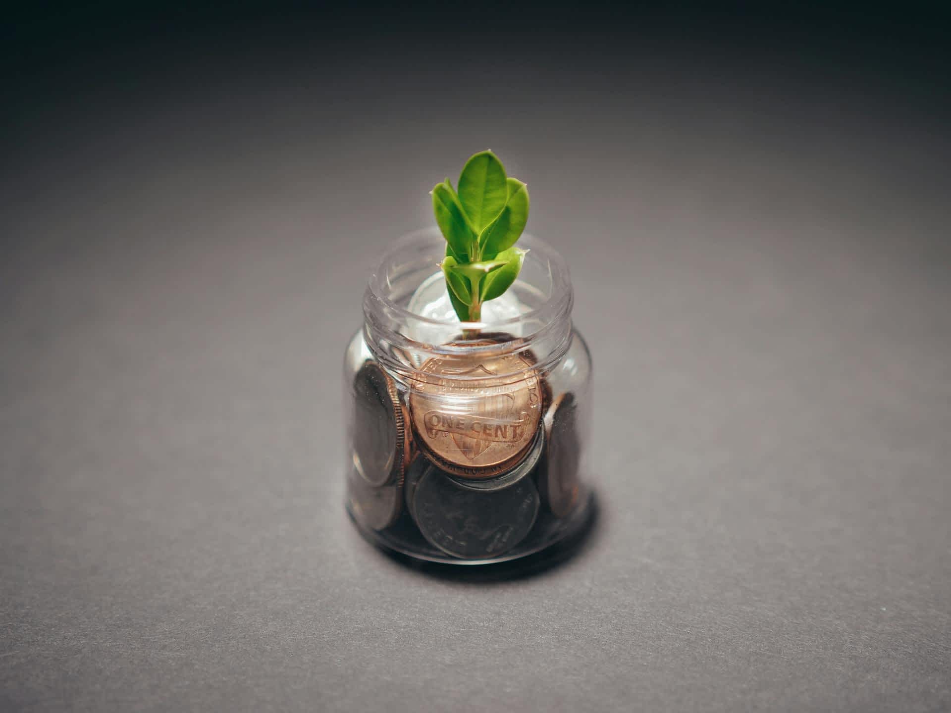 Plant From Coins - lg