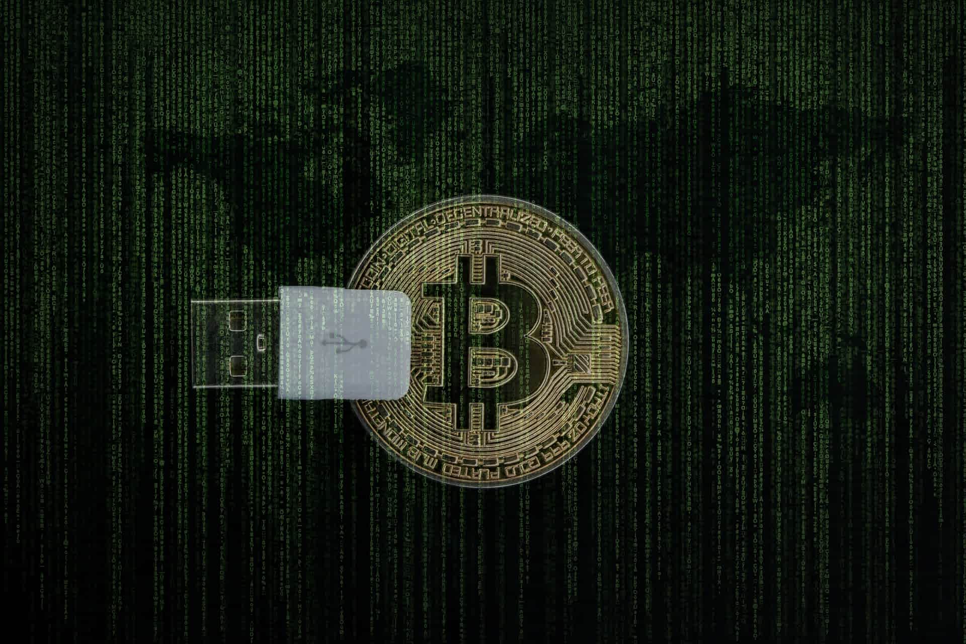 Crypto Wallet - lg