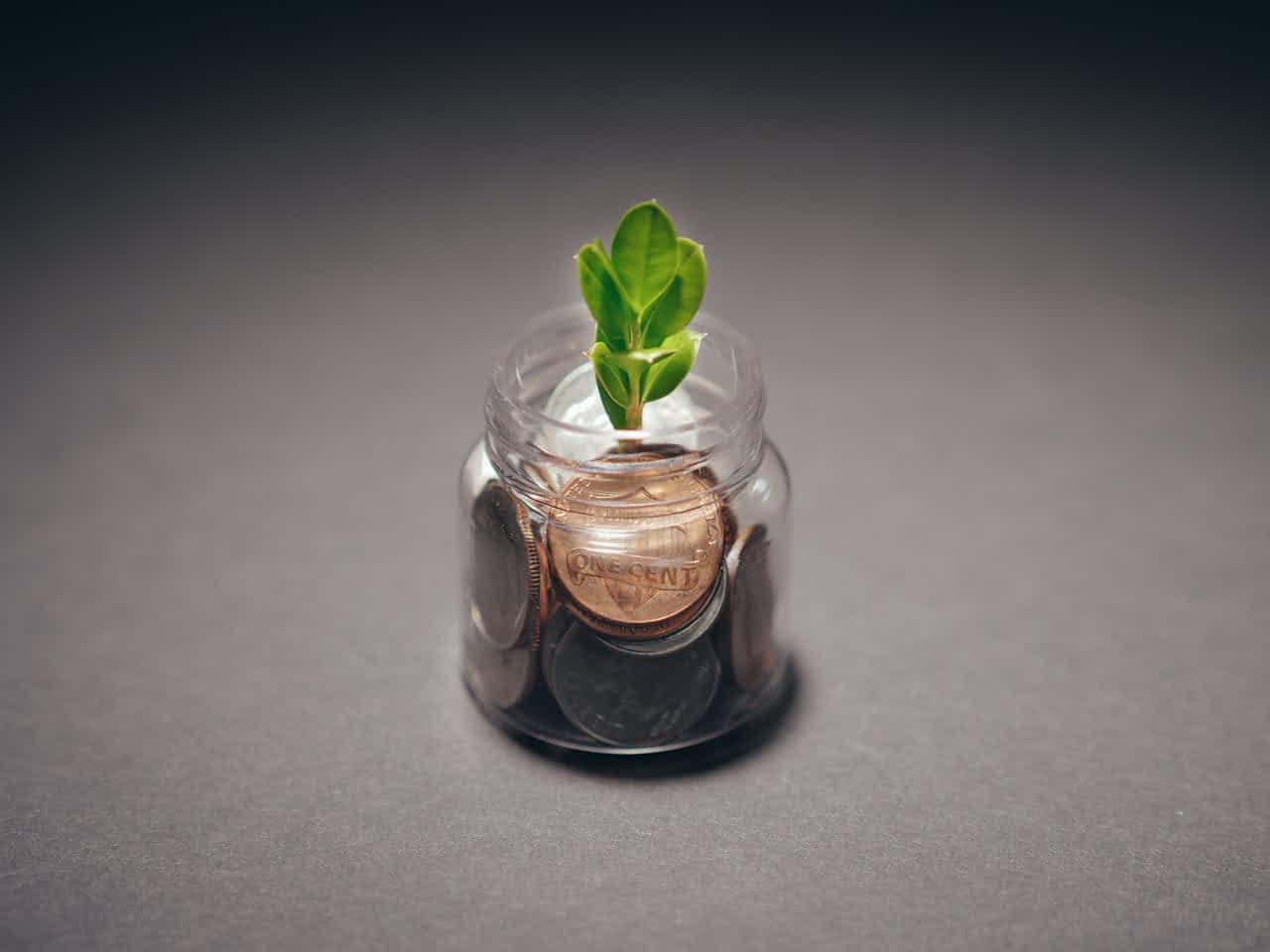 Plant From Coins - md