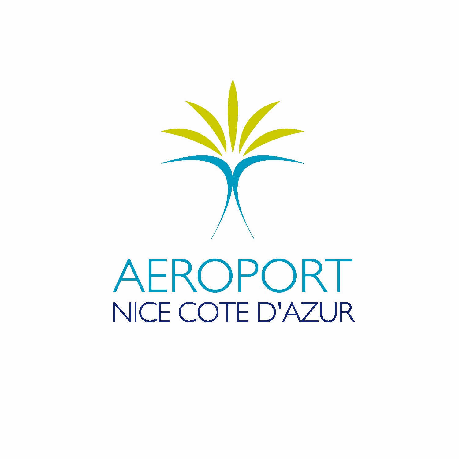 Nice Airport