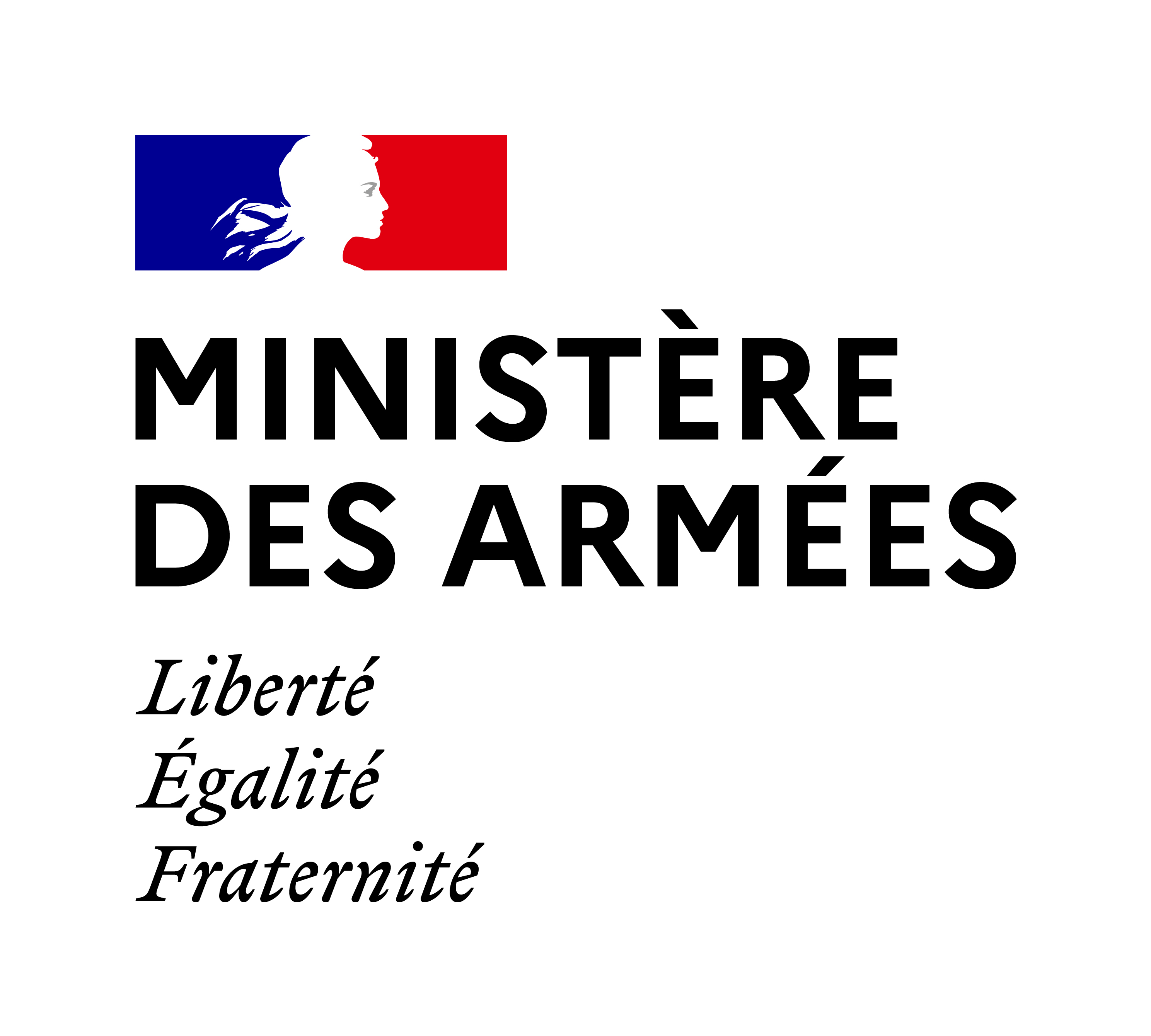 French MoD