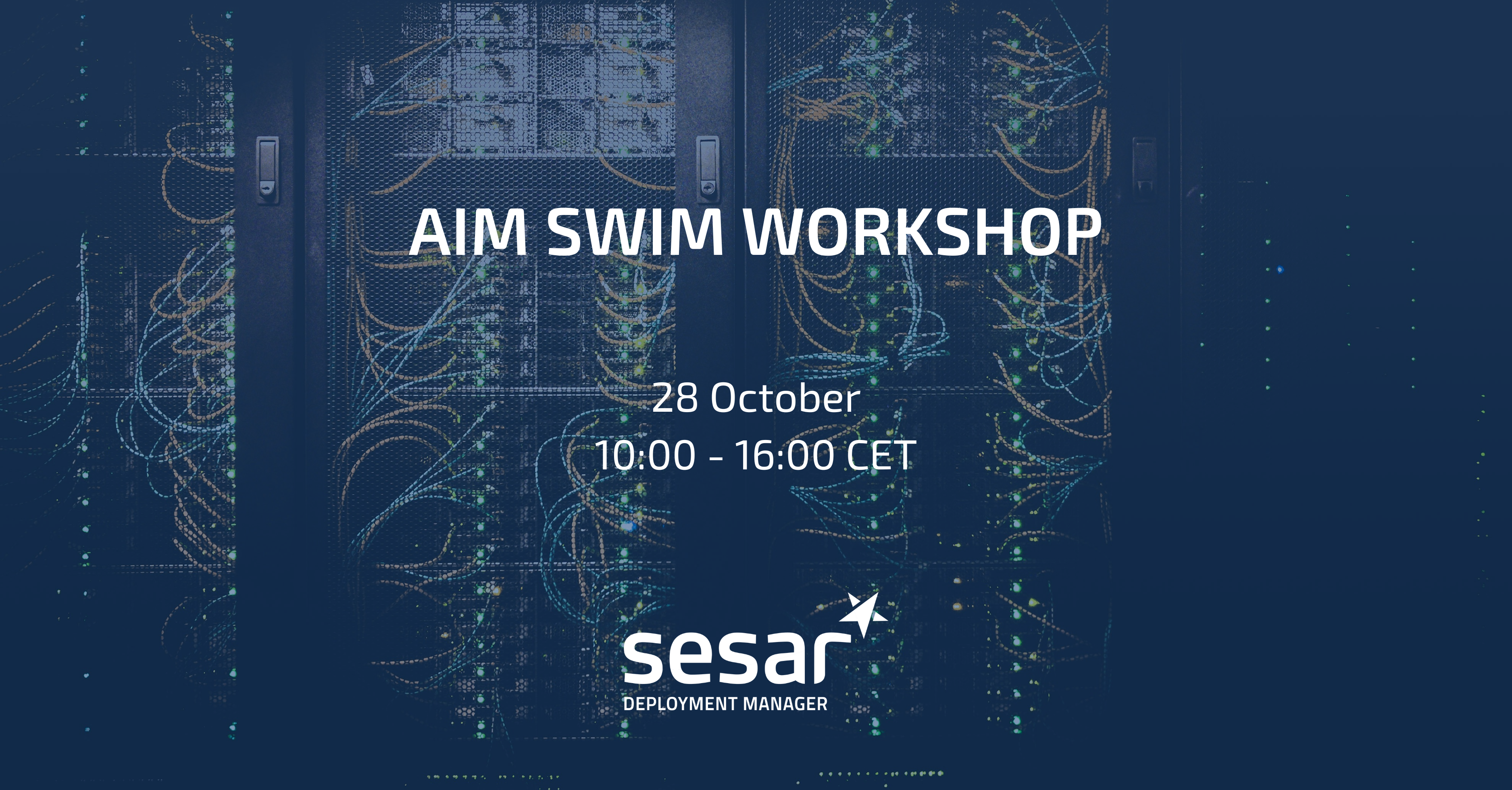 AIM SWIM Workshop