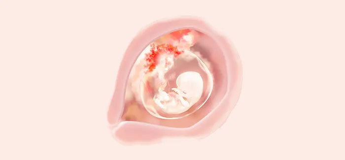 embryoimage-week09-700