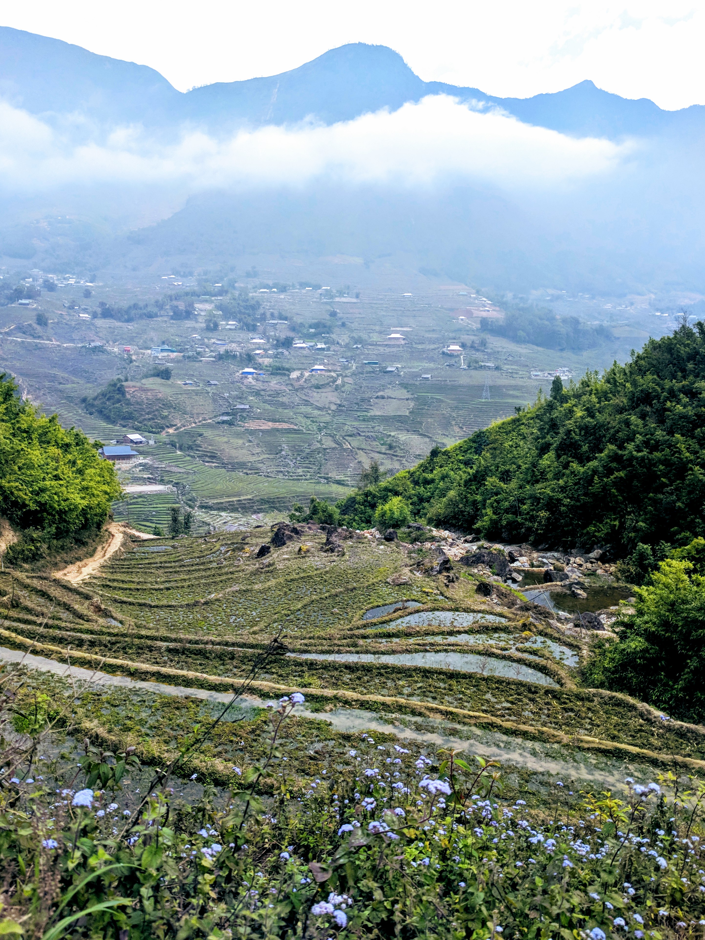 Rice paddies in Sapa