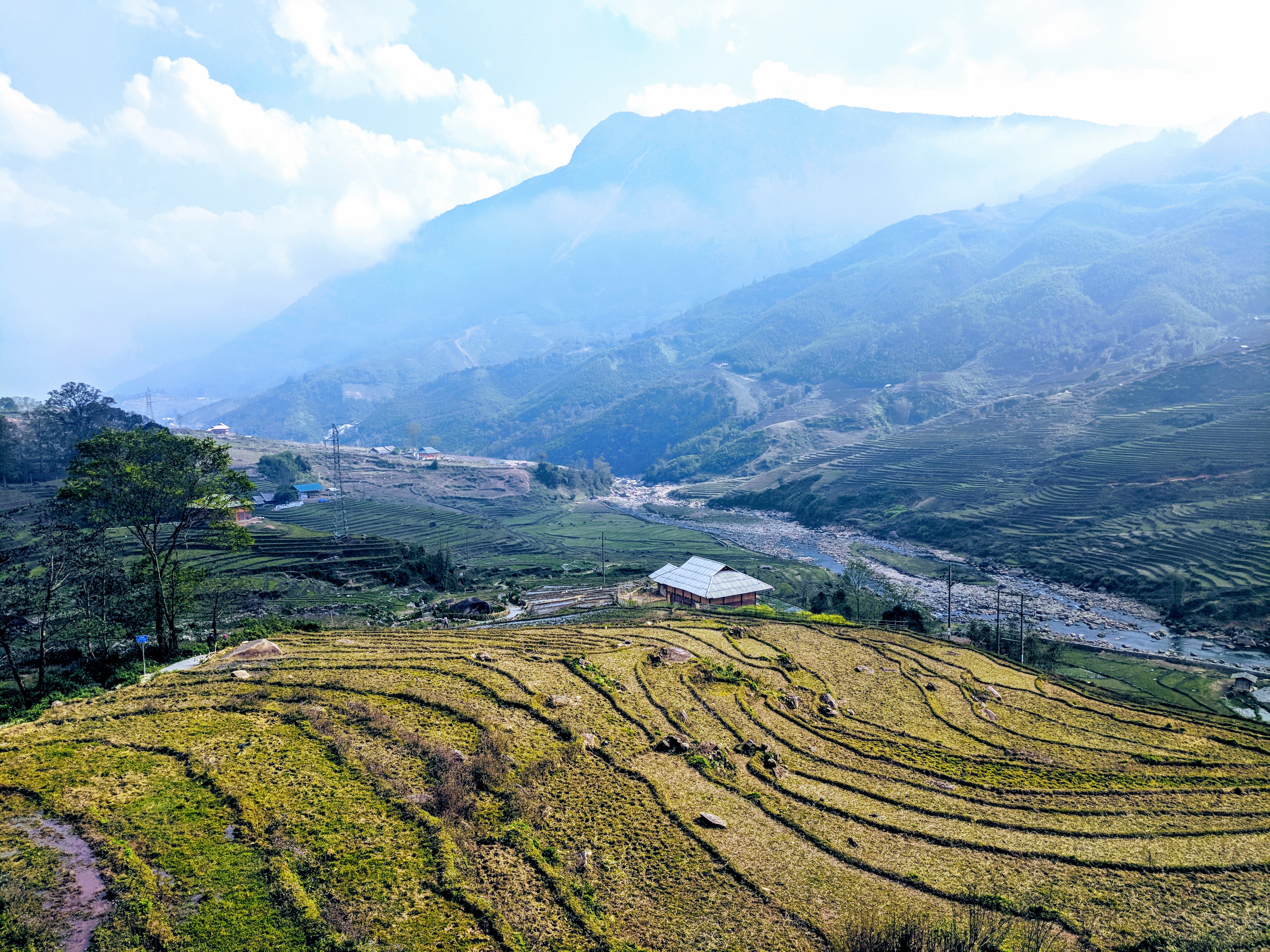 Rice Paddies in Sapa (again)