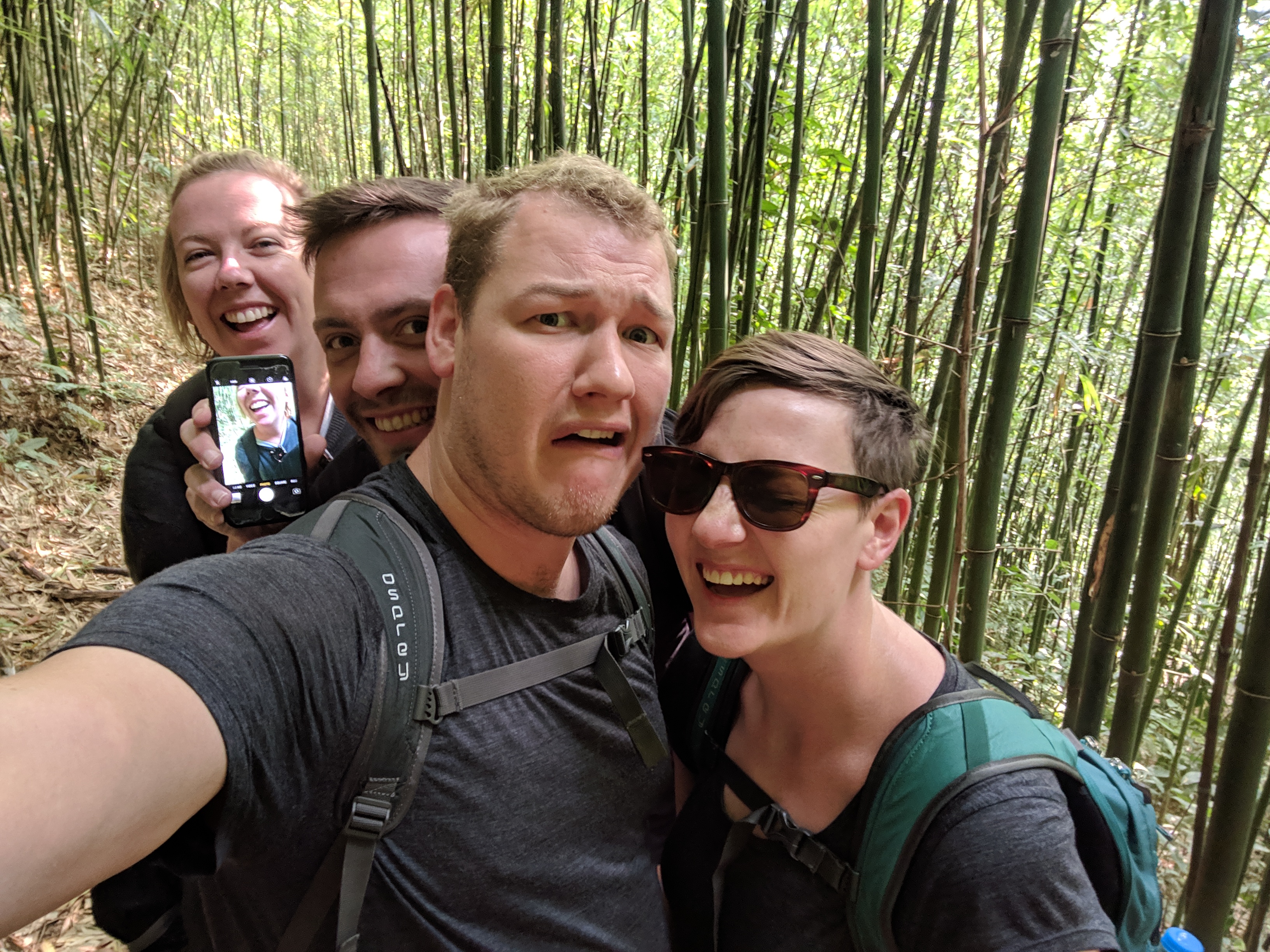 Bamboo forest in Sapa