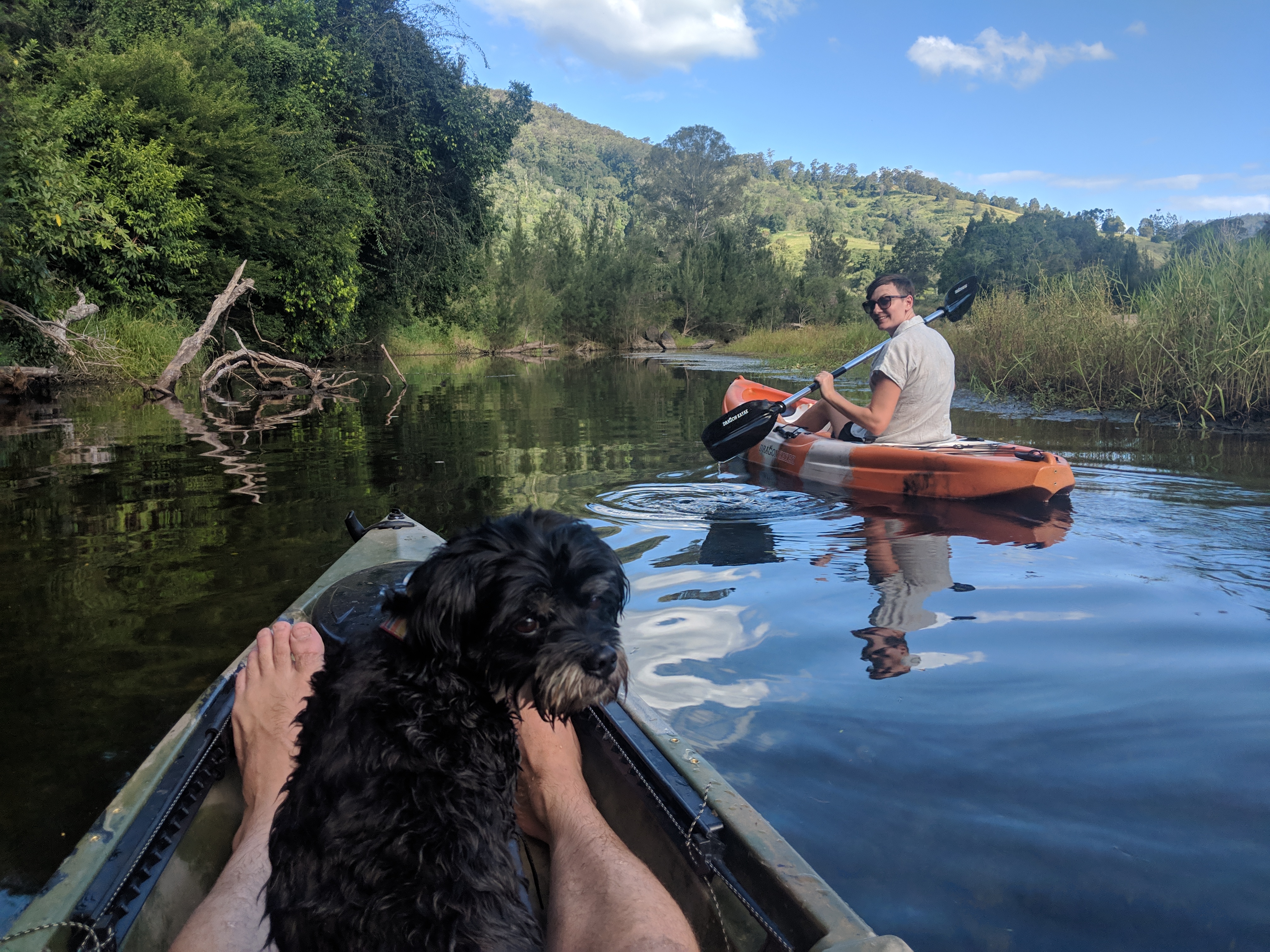 Kayaking on the Mary River with Boston