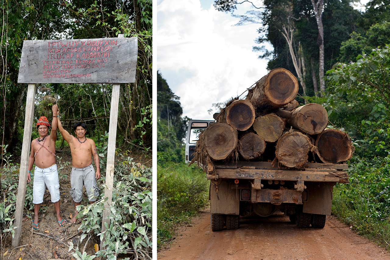 Brasilien - Für den Erhalt des Amazonas!