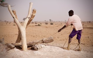 Crédit photo : ®Felix_Vigne