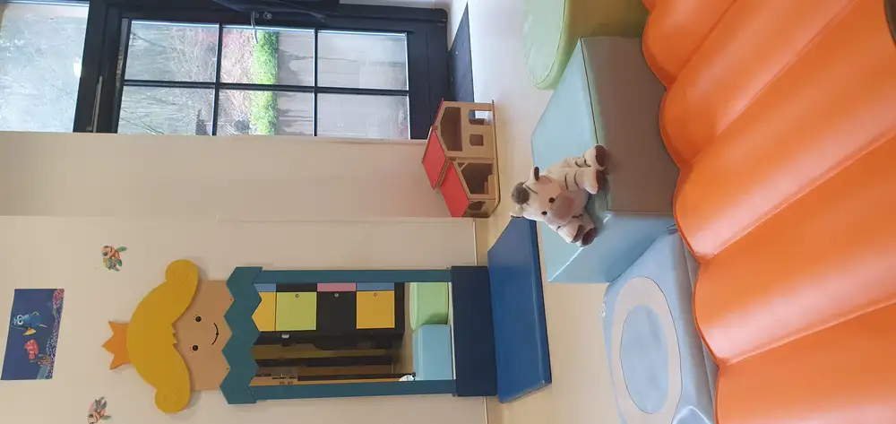 Section des grenouilles.