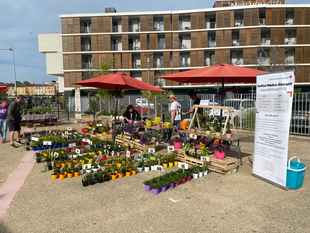 Foire aux plants