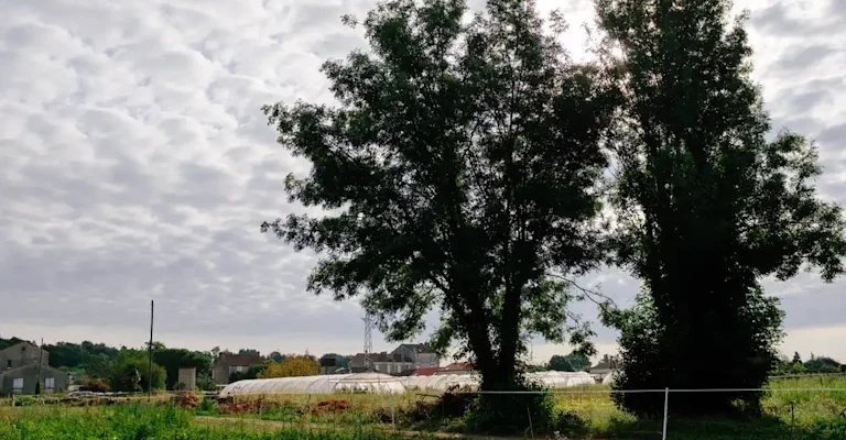 Notre site de maraichage à Saint Yriex (16)