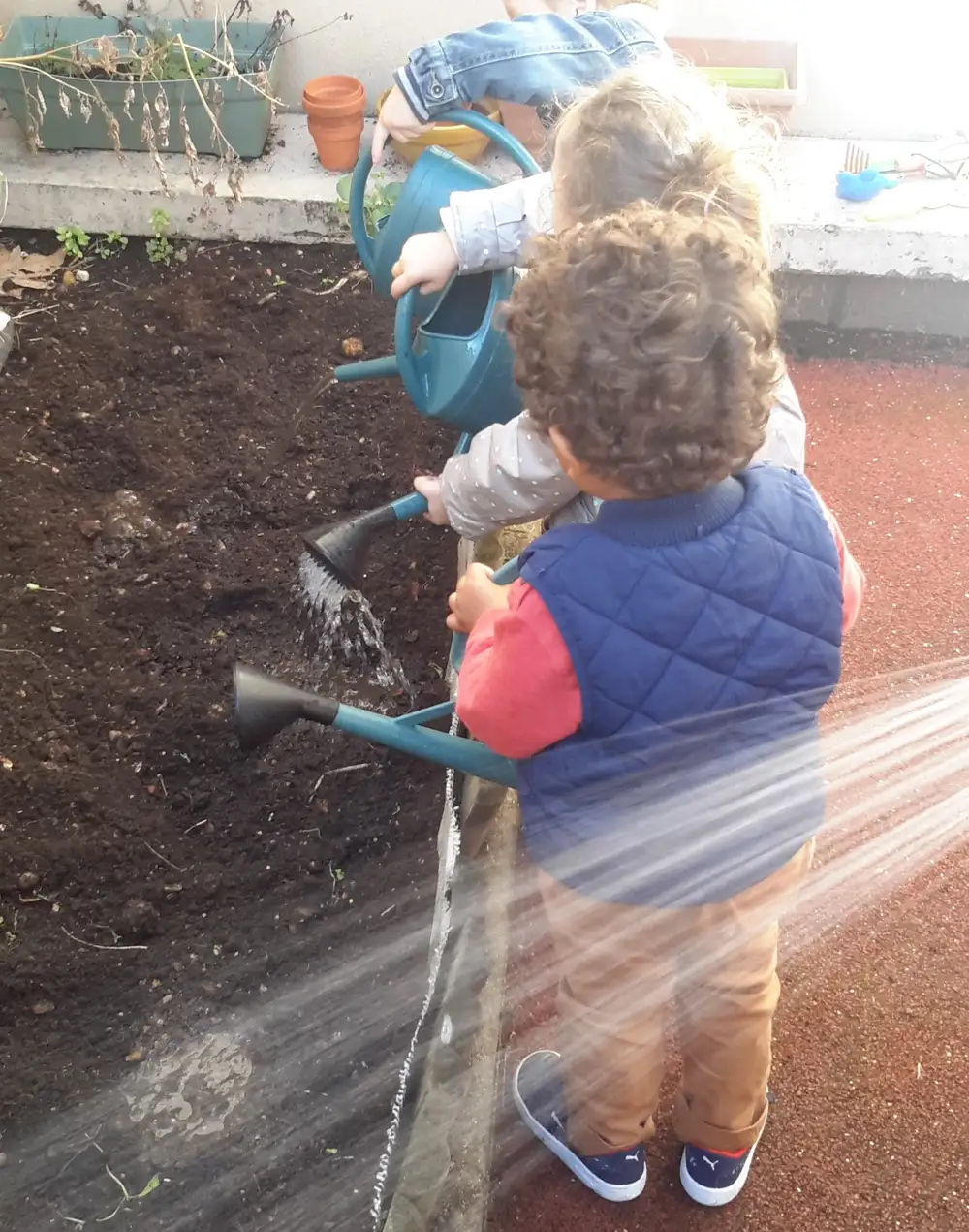 On plante, on arrose et (normalement!) ça pousse pour une récolte et plein de découvertes.