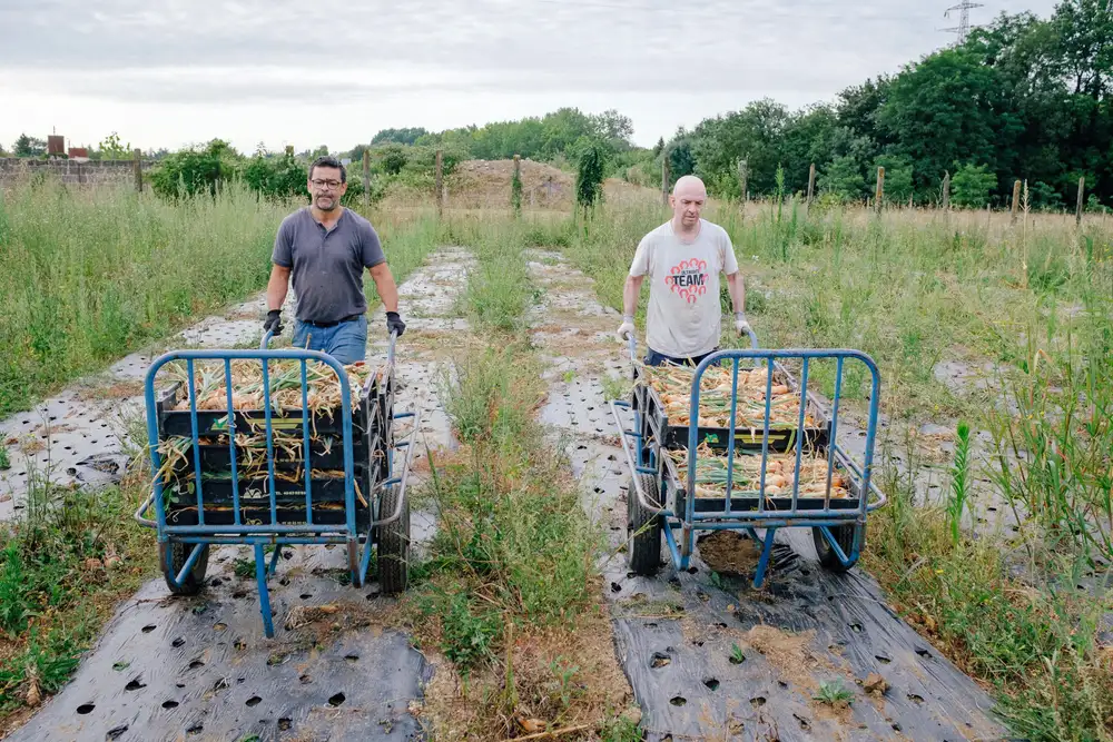Notre site de maraichage à Saint Yriex (16)