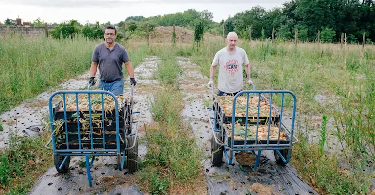 Notre site de maraichage à Saint Yriex (16)