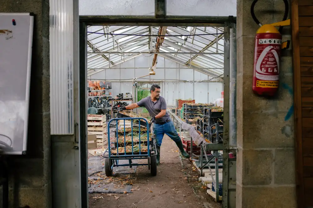 Notre site de maraichage à Saint Yriex (16)