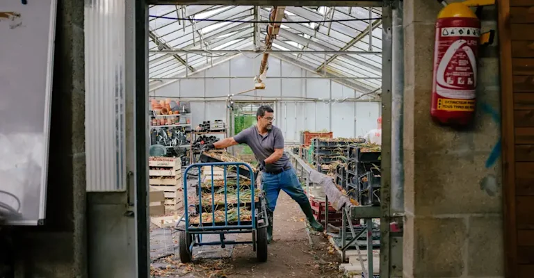Notre site de maraichage à Saint Yriex (16)
