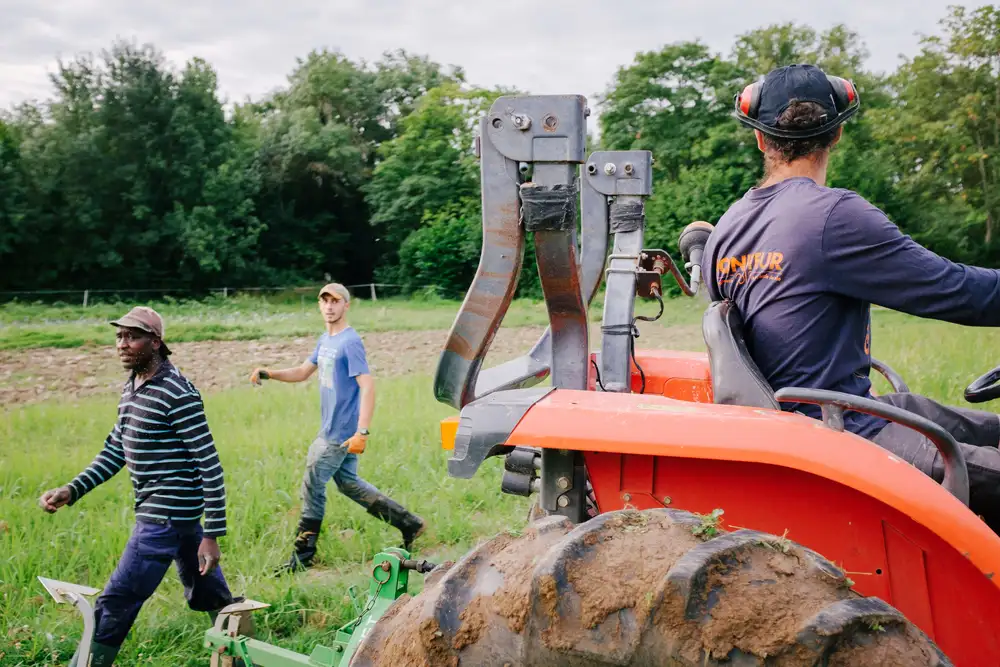 Notre site de maraichage à Saint Yriex (16)