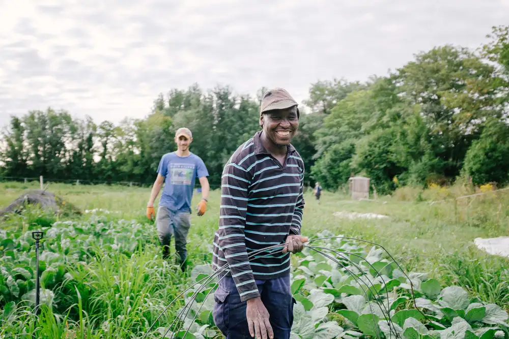Notre site de maraichage à Saint Yriex (16)