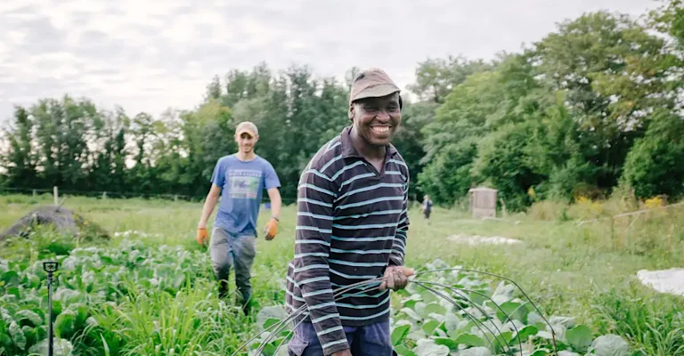 Notre site de maraichage à Saint Yriex (16)
