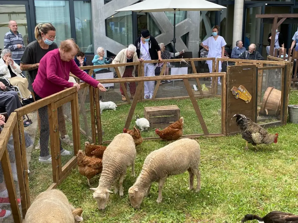 Animation ferme pédagogique