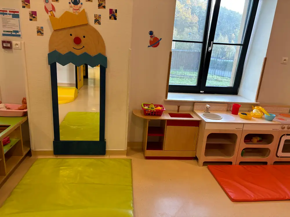 Section des libellules.