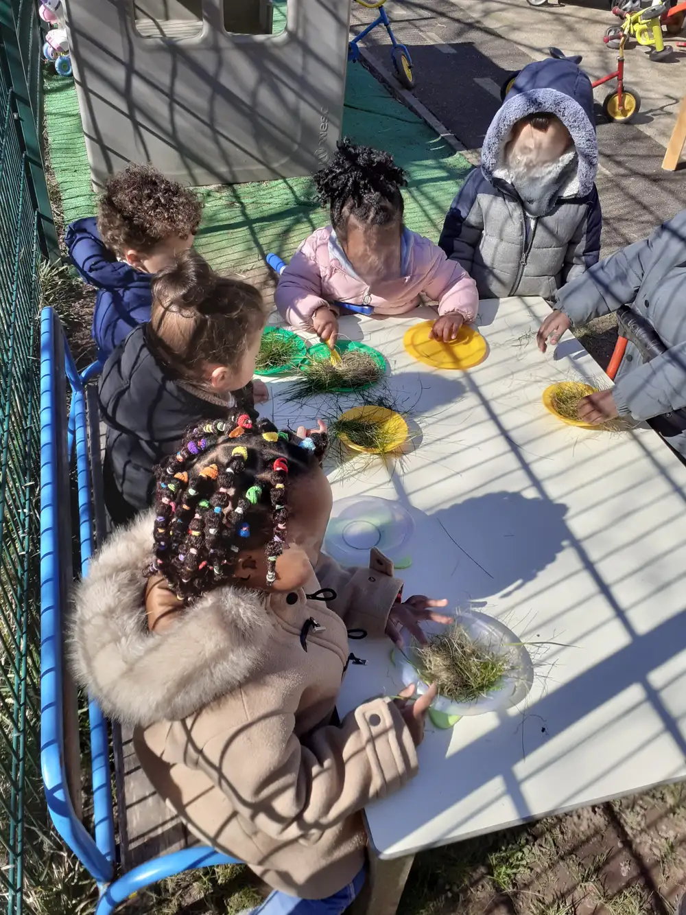 découverte de la nature 