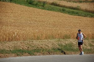 course près des blés