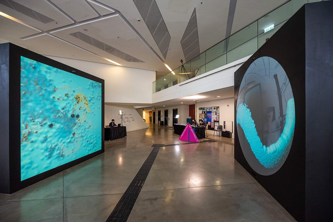 Exhibition Image