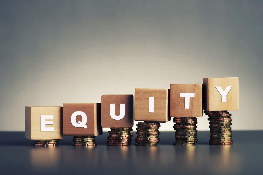 preferred shareholders, return on equity, shareholder equity, equity ratio, equity formula, common equity