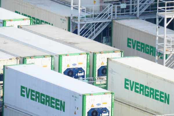 reefer container, reefer containers, refrigerated containers, refrigerated container, reefer unit, refrigeration unit, reefer cargo, shipping container, refrigerated shipping container, reefer container work